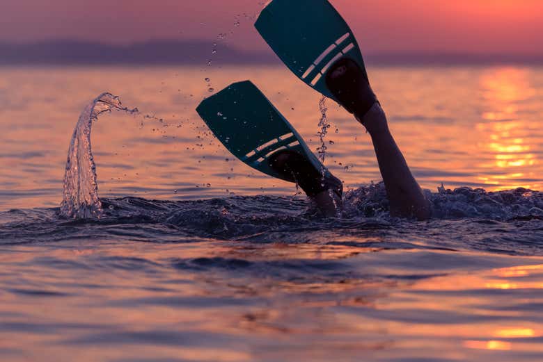 Snorkeling nel Golfo di Oman