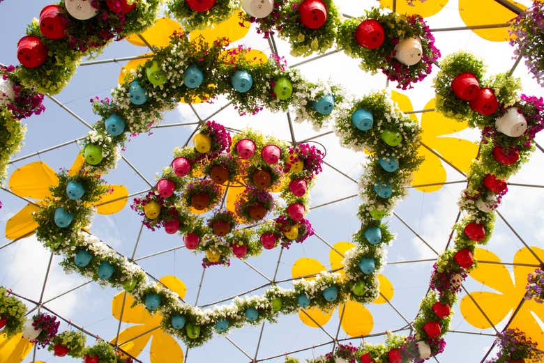 Arte floreale nel Giardino delle farfalle di Dubai