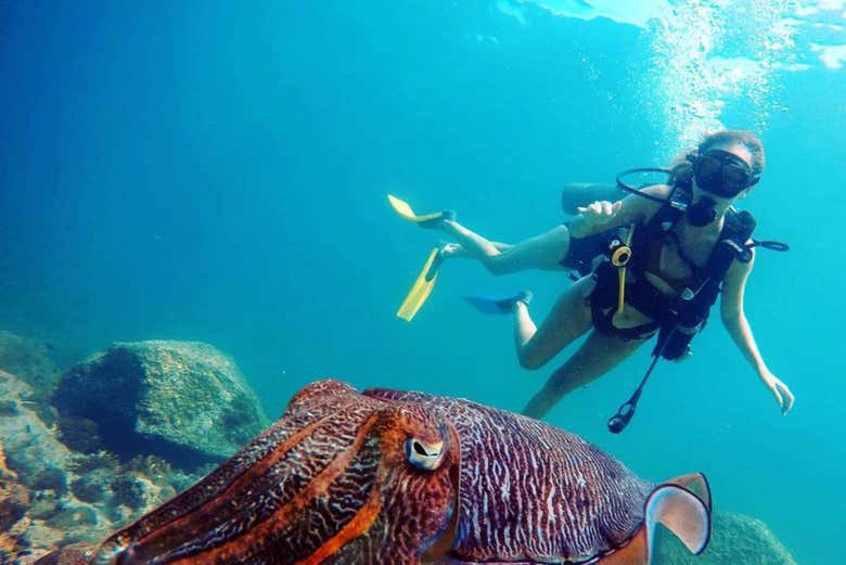 Immersione nelle acque di Dibba Al-Fujairah