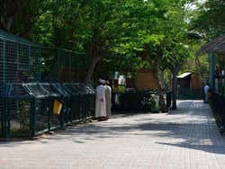 Zoo di Dubai