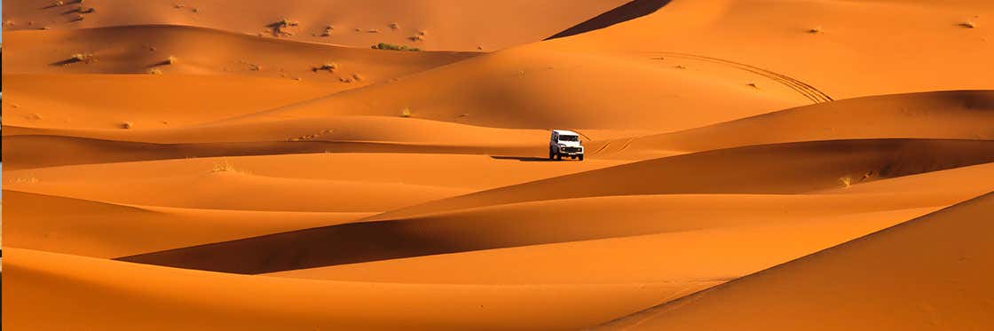 Safari nel deserto